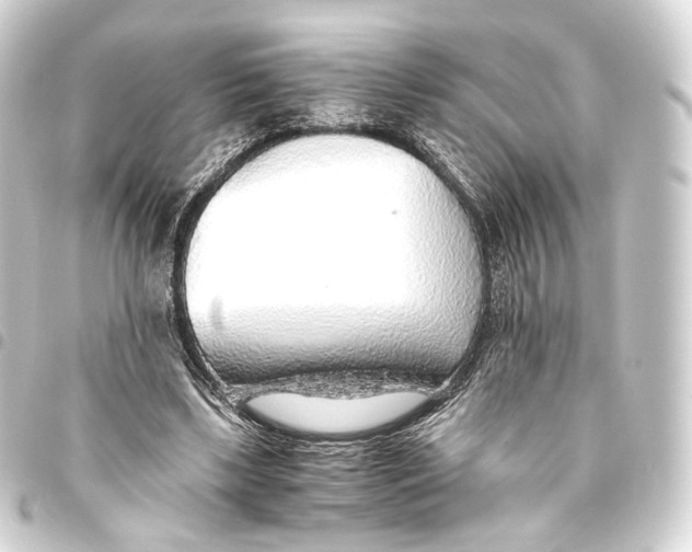 X0000093440443200711021057