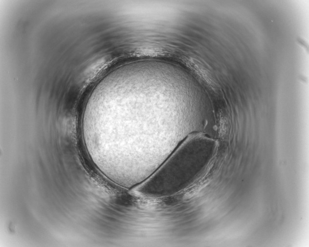 X0000093440444200711021057