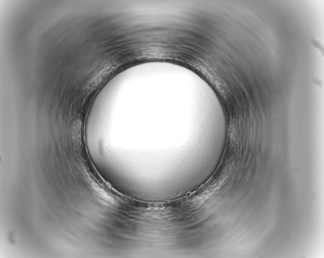 X0000093440445200711021057