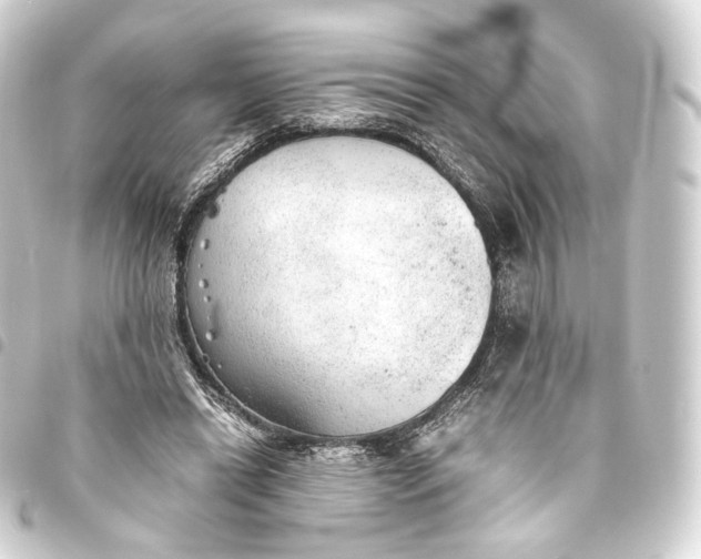 X0000093440446200711021057