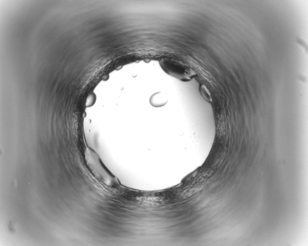 X0000093440448200711021057