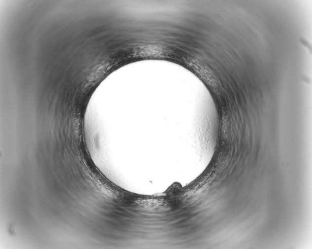 X0000093440449200711021057