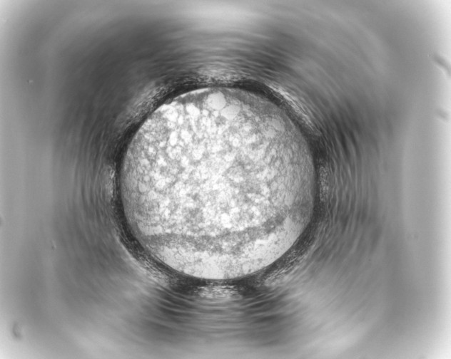 X0000093440451200711021057