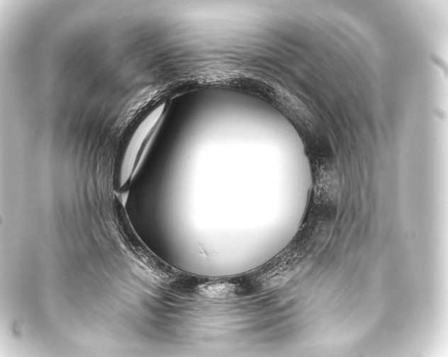 X0000093440452200711021057