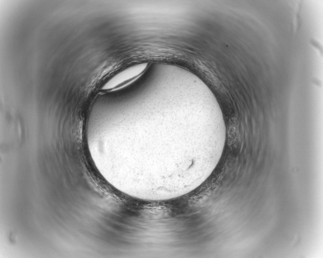 X0000093440454200711021057