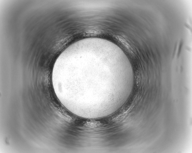 X0000093440455200711021057