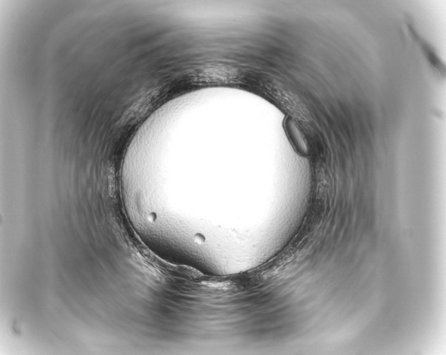 X0000093440457200711021057