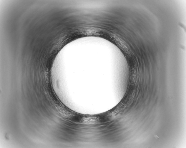 X0000093440461200711021057