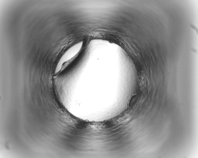 X0000093440466200711021057