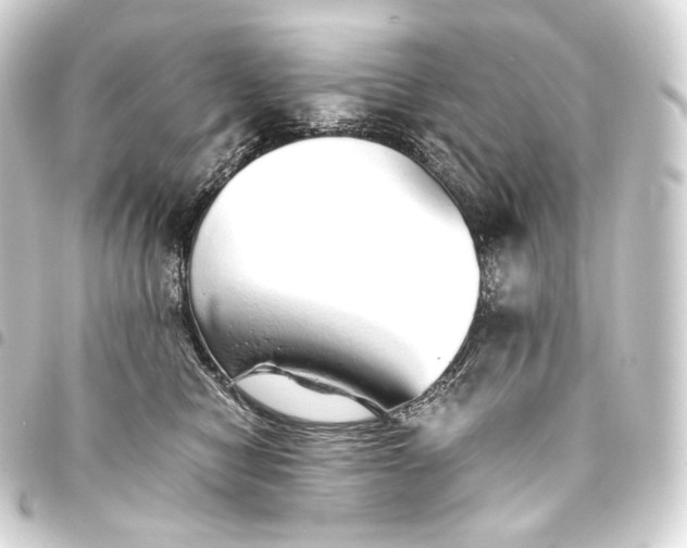 X0000093440470200711021057