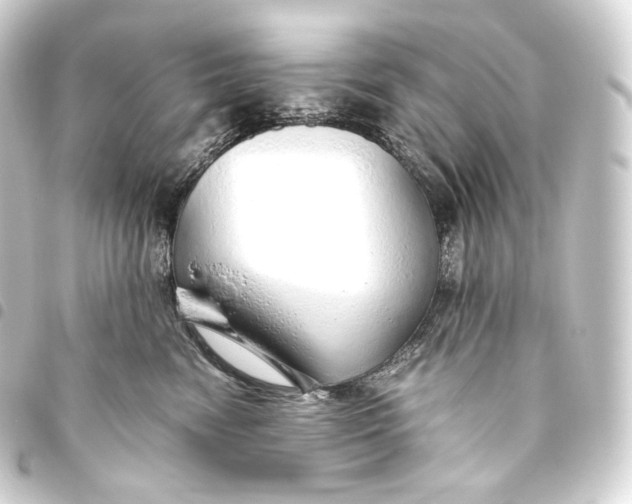 X0000093440474200711021057