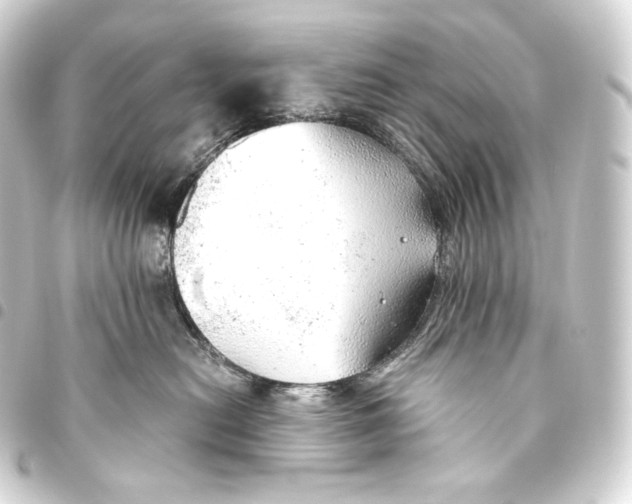 X0000093440478200711021057