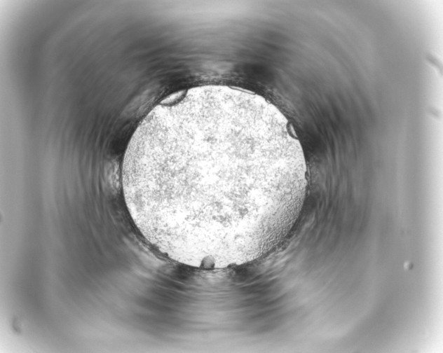 X0000093440479200711021057