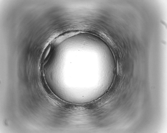 X0000093440483200711021057