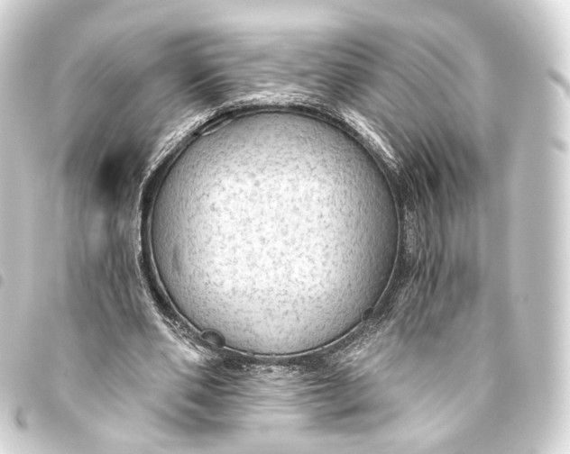 X0000093440486200711021057