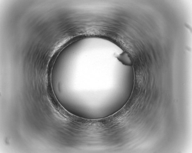 X0000093440488200711021057