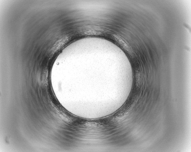 X0000093440490200711021057