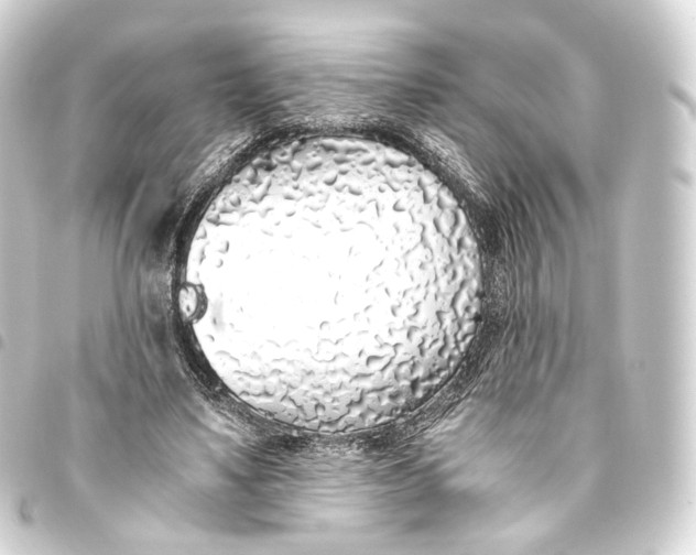 X0000093440491200711021057