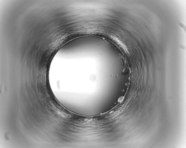 X0000093440493200711021057