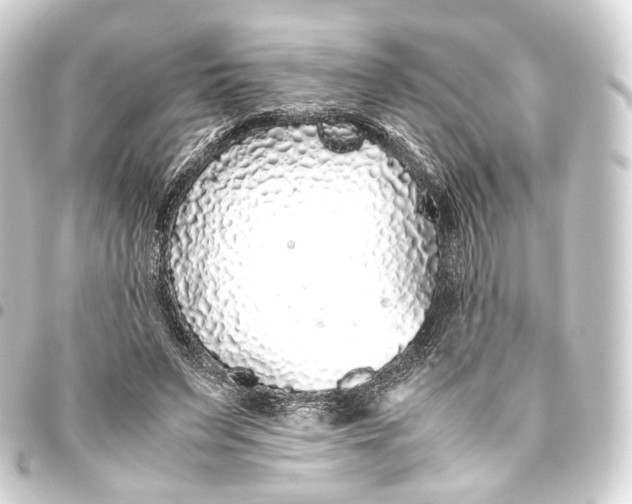 X0000093440495200711021057