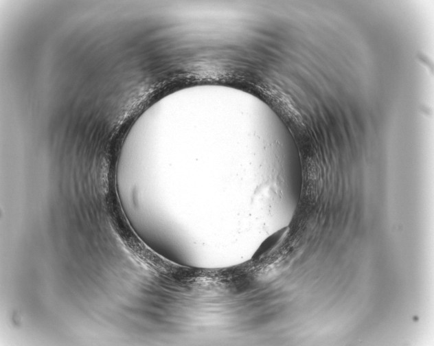 X0000093440496200711021057