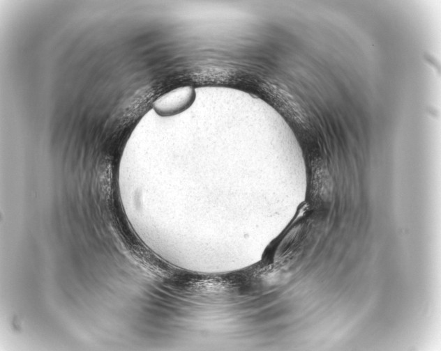 X0000093440498200711021057