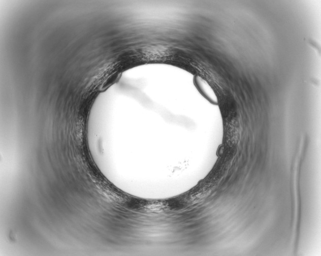 X0000093440505200711021056