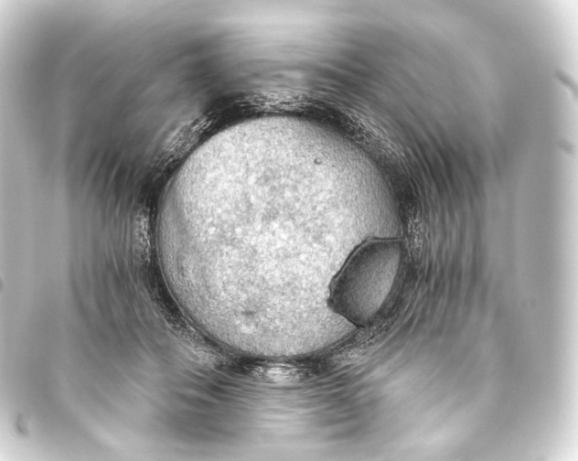 X0000093440506200711021056