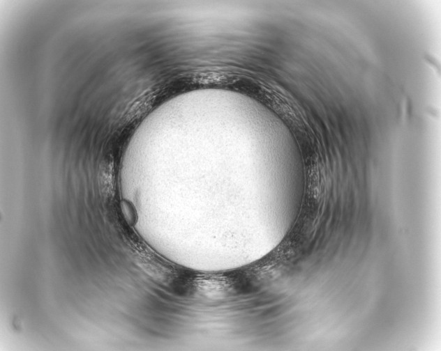 X0000093440510200711021056