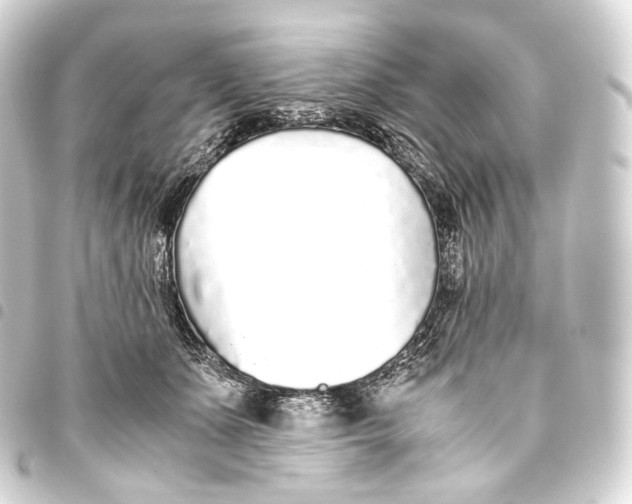 X0000093440511200711021056