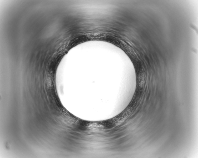 X0000093440515200711021056