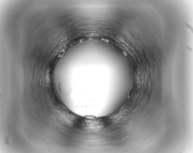 X0000093440516200711021056