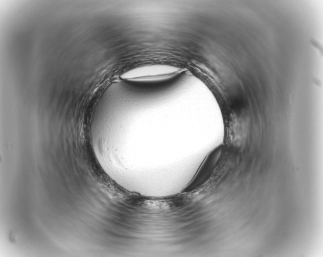 X0000093440520200711021056