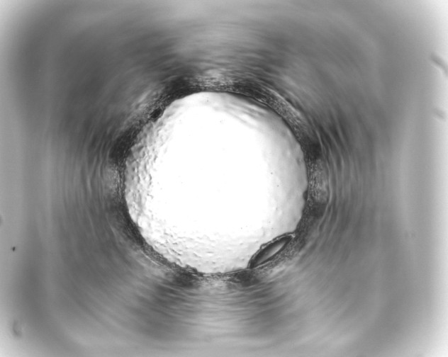 X0000093440523200711021056