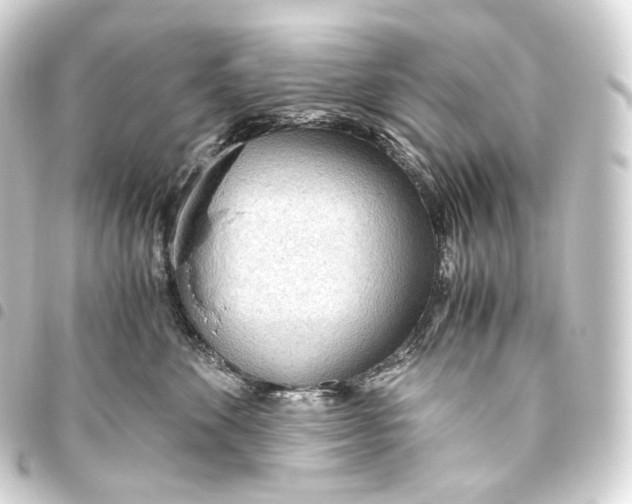 X0000093440524200711021056