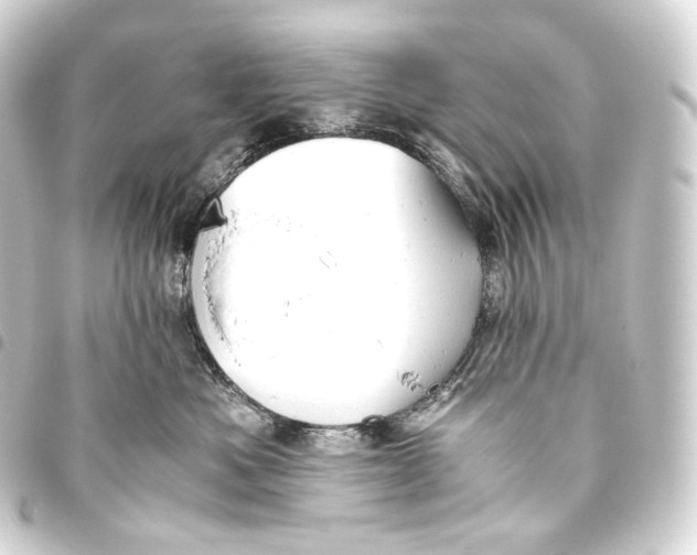 X0000093440525200711021056