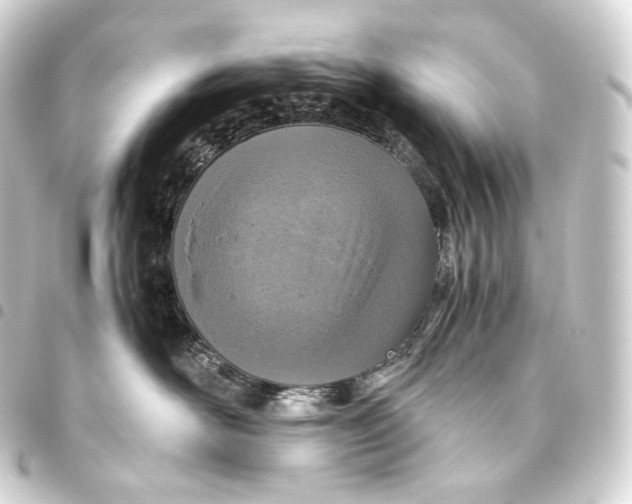 X0000093440526200711021056