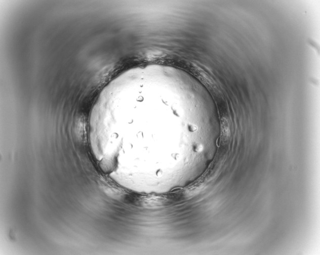 X0000093440527200711021056