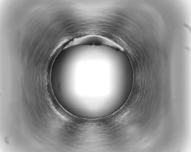 X0000093440530200711021055