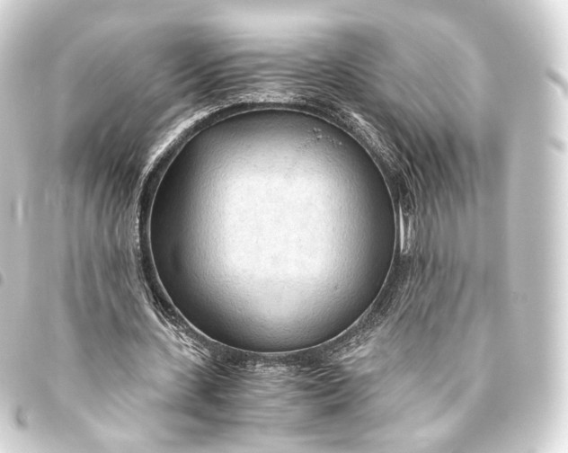 X0000093440531200711021055