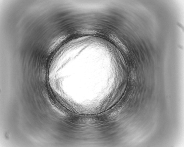 X0000093440533200711021056