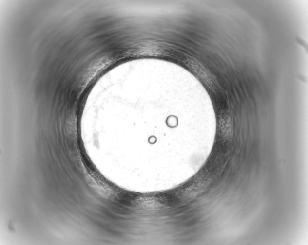 X0000093440534200711021056