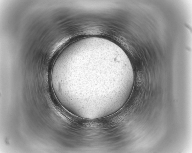 X0000093440535200711021056