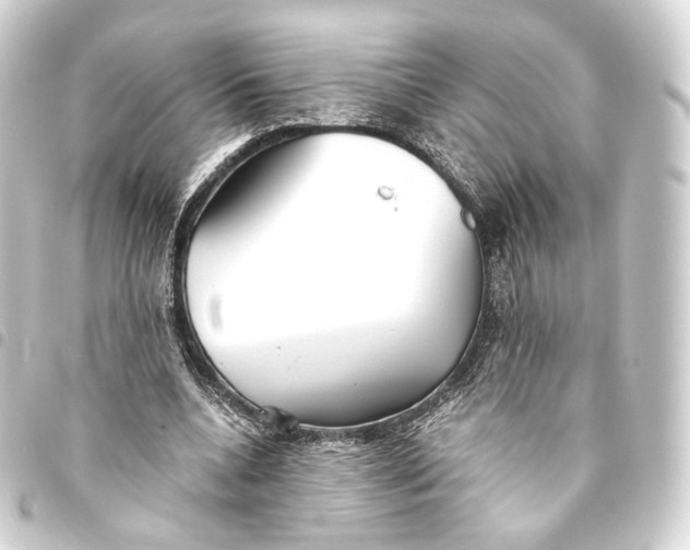 X0000093440536200711021056