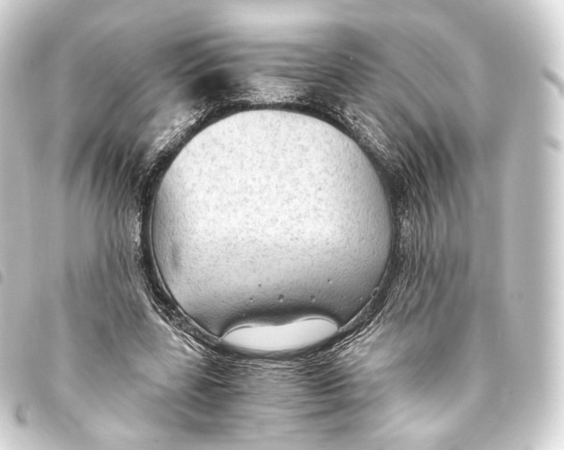 X0000093440539200711021056