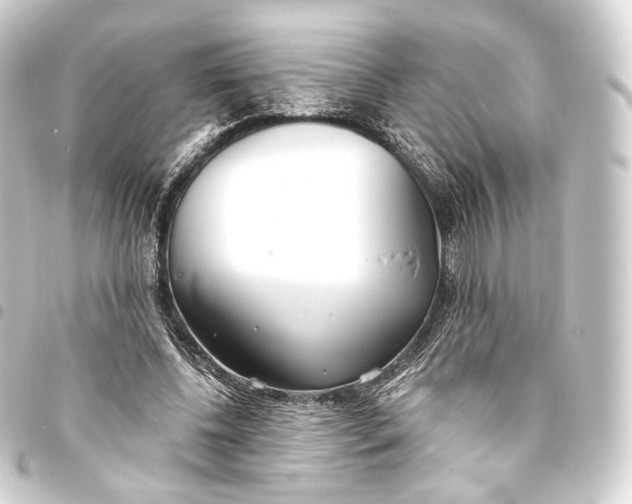 X0000093440540200711021056