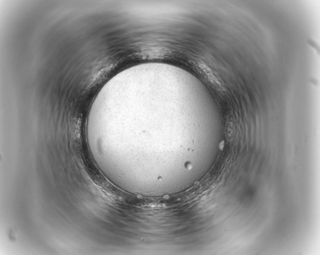 X0000093440543200711021056