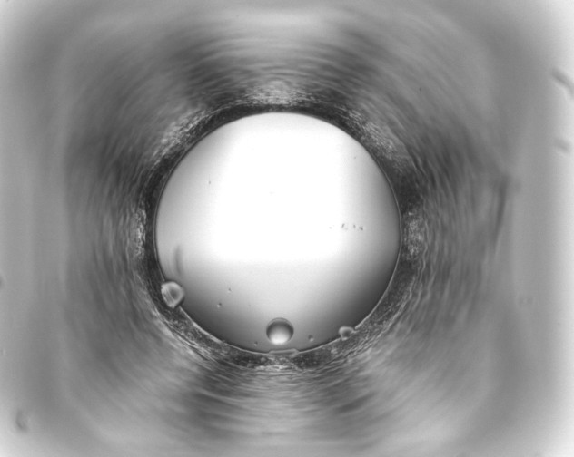 X0000093440544200711021056