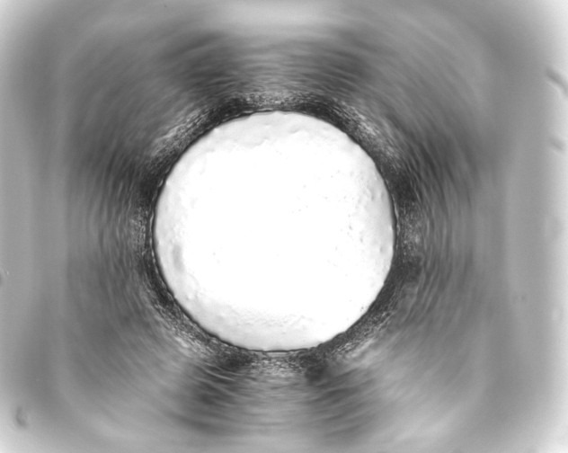 X0000093440545200711021056