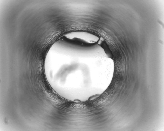 X0000093440546200711021056